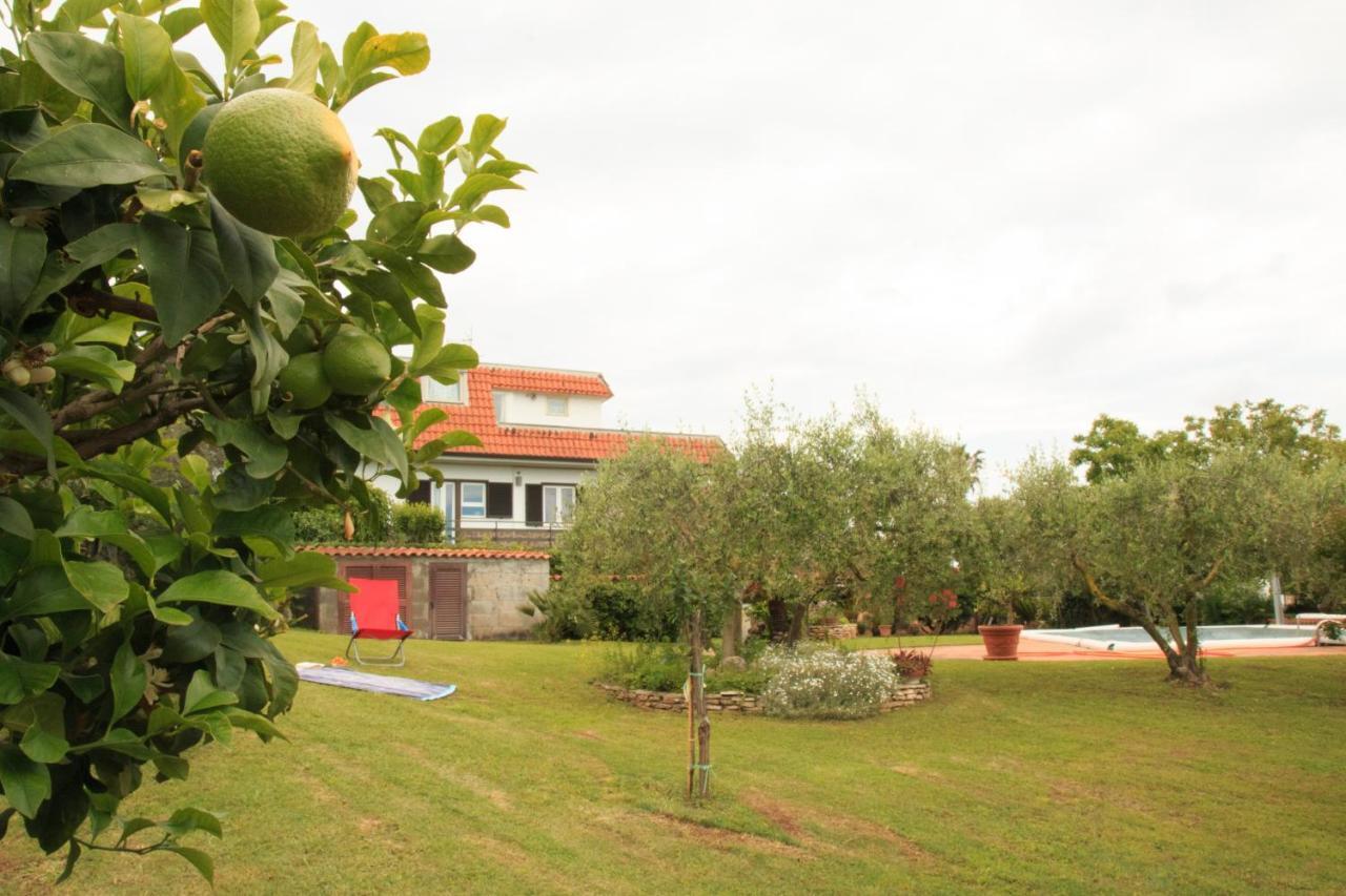 La Casa Di Iole Apartamento Cogna Exterior foto